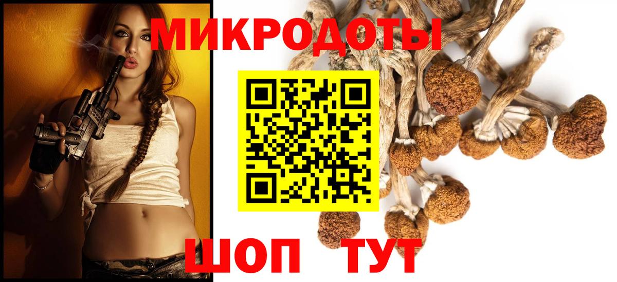 Александров  Галлюциногенные грибы GOLDEN TEACHER  Вход с VPN  Галлюциногенные грибы MAGIC MUSHROOMS 