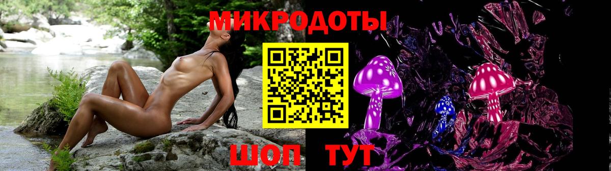 Галлюциногенные грибы прущие грибы Александров
